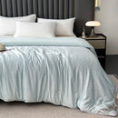 Axyaa Mulberry Silk Comforter, Winter Warm Silk Duvet Quilt Blanket