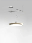 Axyaa Nordic Minimalist LED Ceiling Chandelier for Home Decor