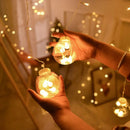 Axyaa Wishing Ball Curtain String Light LED Starry Sky Room Decoration