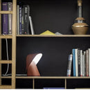 Axyaa Minimalist Resin LED Desk Lamp Modern Design for Bedroom Living Room Study Lighting