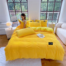 Axyaa Winter Velvet Duvet Cover Set - Solid Color, Thick & Warm, Various Sizes