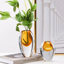 Axyaa Transparent Thick Bottom Glass Vase for Hydroponic Flower Arrangement