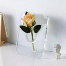 Axyaa Creative Transparent Frame Vase for Home & Wedding Decor