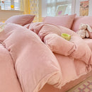 Axyaa Milk Velvet Winter Queen Duvet Cover Set, Soft & Cozy Coral Fleece Quilt