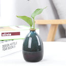Axyaa Modern Ceramic Flower Vase Decoration for Home Green Plant Ornaments