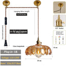 Axyaa Adjustable Glass Pendant Light with E27 Base for Living Room Bedroom Kitchen