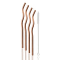 Axyaa Silver Wave Stainless Steel Reusable Drinking Straw Set