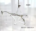 Axyaa Angel Glass Vase for Living Room Decor with Hanging Hydroponic Flowers