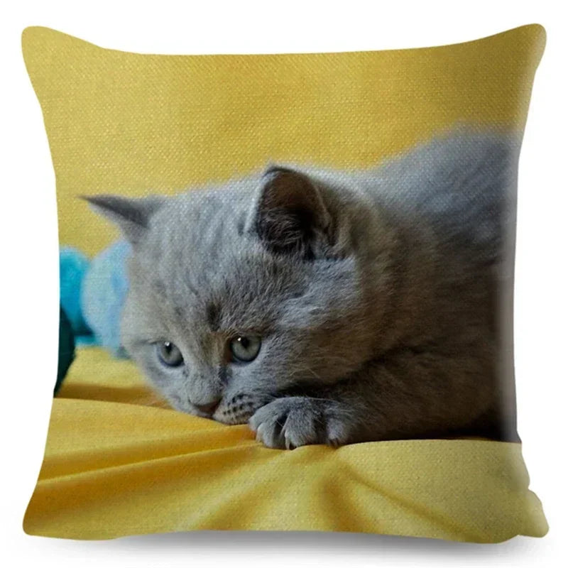 Axyaa Fold Ear Cat Pillow Covers - Set of 2 Cute Pet Pillowcases