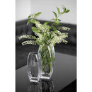 Axyaa Clear Glass Vase 12.6" - Heavy Duty, Durable, Made in Europe