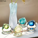 Axyaa Small Mouth Glass Vase: Hydrop n. Vessels for Flowers, Decorative & Dried Flower Arrangement