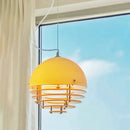 Axyaa Orange Acrylic Pendant Chandelier for Modern Home Decor