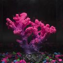 Axyaa Coral Reefs Resin Decoration for Saltwater Fish Tank Landscaping