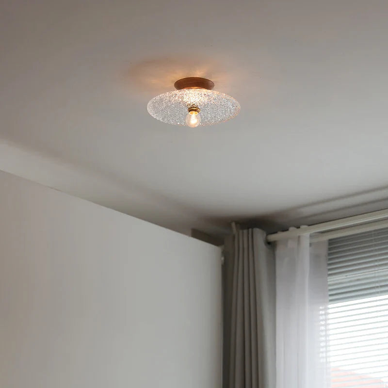 Nordic Modern Axyaa Glass LED Ceiling Lamp for Home Restaurant Balcony Lighting