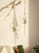Axyaa Macrame Air Hanging Planter Flower Pots - Boho Home Decor Basket