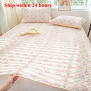 Axyaa Ice Silk Mat Cool Mattress Protector Set