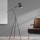 Axyaa Modern Nordic Floor Lamp for Living Rooms and Bedrooms
