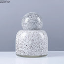 Axyaa Glass Vase with Cover for Flower Arrangements and Hydroponic Display