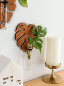 Axyaa Indoor Plant Wall Planter Propagation Station - Unique Gardening Gift for Plant Lovers