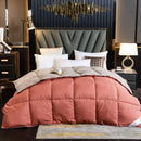 Axyaa Winter Goose Down Duvet Comforter for Single/Double Bed
