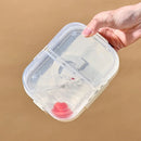 Axyaa Portable Clear Compartment Lunch Box for Students and Kids