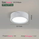 Axyaa LED Downlight Ceiling Lamp, Ultra Thin, Modern Design, Bedroom Living Room Lighting