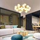 Axyaa Modern Gold Magic Bean Glass Ball Pendant Lamp DNA Molecular Hanging Light