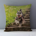 Axyaa Schnauzer Decorative Cushion Cover 45x45cm Cozy Couch Pillow Square Bed Linen Fabric
