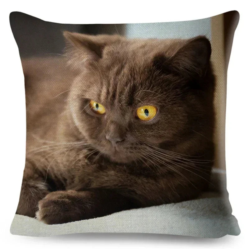 Axyaa Fold Ear Cat Pillow Covers - Set of 2 Cute Pet Pillowcases