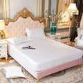 Axyaa Satin Silky Fitted Bed Sheet Set - Luxury Solid Color Sheets & Pillow Cases