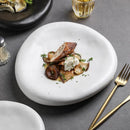 Axyaa Matte Ceramic Irregular Plate Set for Molecular Cuisine and Sushi Dining