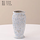 Axyaa Ceramic Vase: Stylish Hydroponic Decor for Home and Hotel Displays