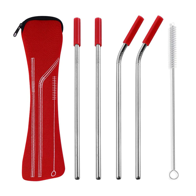 Axyaa Stainless Steel Reusable Straw Set with Cleaning Brush and Cover