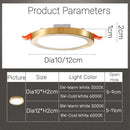 Axyaa LED Copper Ceiling Downlights: Ultra-Thin Round Panel Lamp for Kitchen, Bedroom, Stairway - 110V/220V