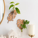 Axyaa Leaf Shape Wall Planters | Indoor Plant Propagation Station, Wall Decor Vase Stand