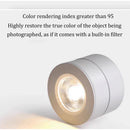 Axyaa LED Surface Mounted Downlight Ceiling Light 10W 12W Bedroom Living Room Spotlight