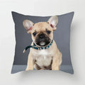 Axyaa French Bulldog Cushion Cover - 45X45CM