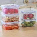 Axyaa Rectangular Refrigerator Storage Box with Lid: Plastic Crisper for Fresh Food