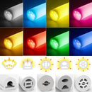 Axyaa LED Neon Tube Rope Light Strip - Waterproof & Flexible IP65 Soft Silicone Diffuser