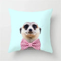 Axyaa Cartoon Animal Pillowcase 45x45cm Home Sofa Car Decor