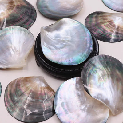 45549511246047|45549511278815|45549511311583|45549511344351|45549511377119|45549511409887|45549511442655