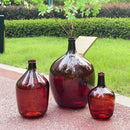 Axyaa Glass Vase: Big Belly Flower Arrangement Hydroponics Home Decoration