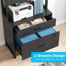 Axyaa 2 Drawer Vertical File Cabinet with Lock and Bookshelf, Modern Filing Printer Stand