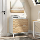 Axyaa 2-Drawer Lateral File Cabinet for Office Storage and Organization