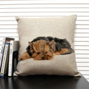 Axyaa Dog Pattern Cushion Cover for Family Sofa and Car Decoration