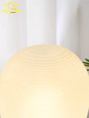 Axyaa Wabi-sabi LED Desk Lamp with Acrylic Shade for Bedroom and Living Room