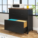 Axyaa Wood Lateral File Cabinet 2-Drawer, Home Office Filing Cabinet