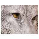 Axyaa Wolf Crystal Resin Wall Sconce Light for Home Decor