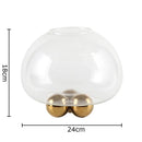 Axyaa Circular Glass Vase Hydroponics Flower Pot for Desk Decoration and Floral Arrangement