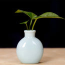Axyaa Mini Ceramic Vase 7.5x6cm Desktop Decoration for Home Décor and Props